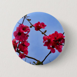 Chaenomeles speciosa Badge