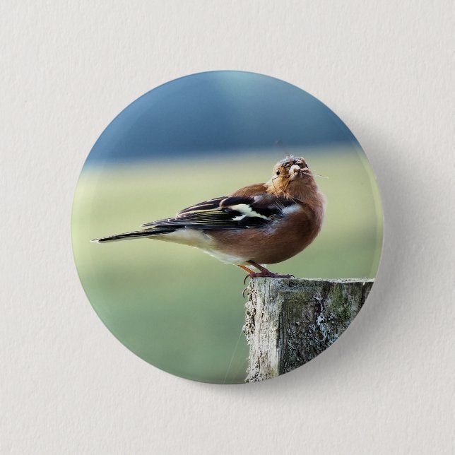 CHAFFINCH 6 CM ROUND BADGE (Front)