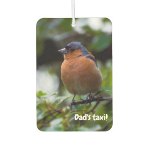 Chaffinch bird Car air freshener