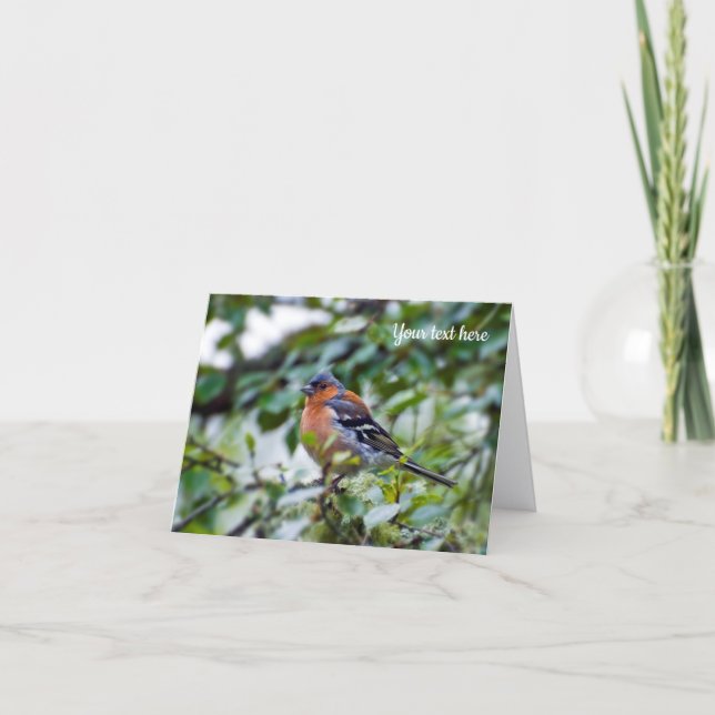 Chaffinch bird Greeting card (Front)