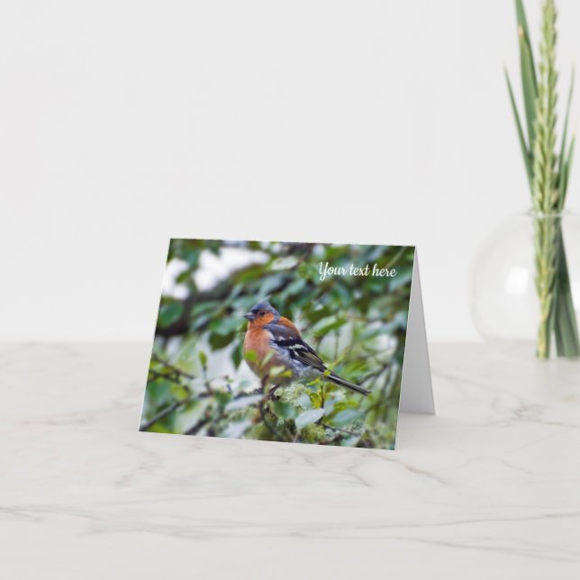 Chaffinch bird Greeting card (Front)