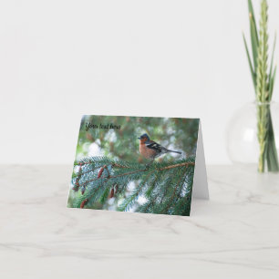 Chaffinch bird Greeting card