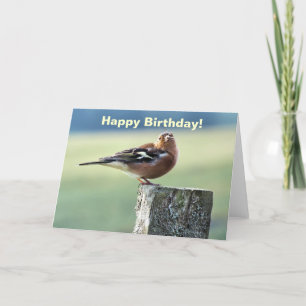 CHAFFINCH CARD