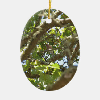 Chaffinch Ceramic Ornament