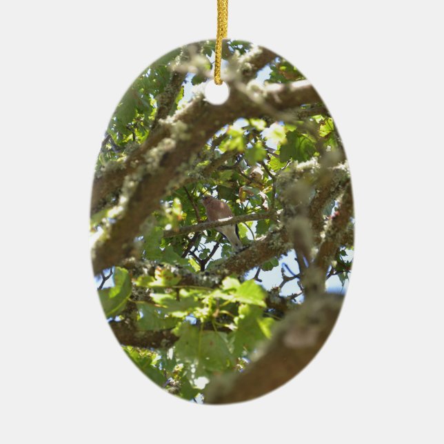 Chaffinch Ceramic Ornament (Front)