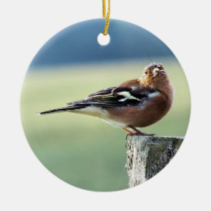 CHAFFINCH CERAMIC ORNAMENT