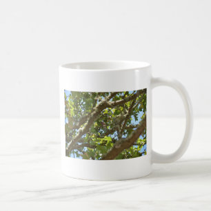 Chaffinch Coffee Mug