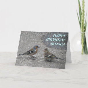 Chaffinch Feed Me Custom Greeting Card