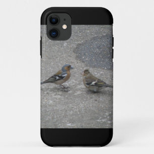 Chaffinch Feed Me iPhone 5 Case