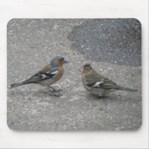 Chaffinch Feed Me Mousepad