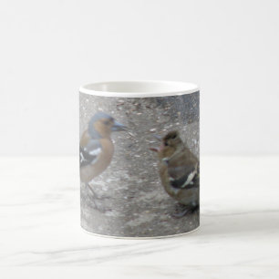 Chaffinch Feed Me Mug