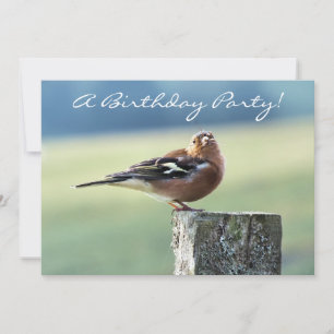 CHAFFINCH INVITATION