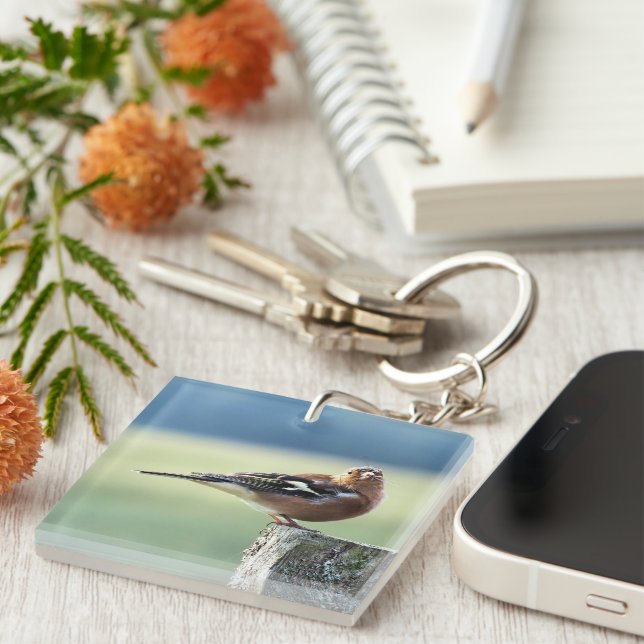 CHAFFINCH KEY RING (Front Right)