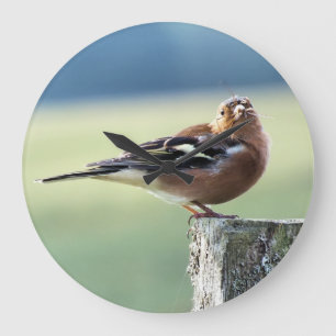 CHAFFINCH LARGE CLOCK