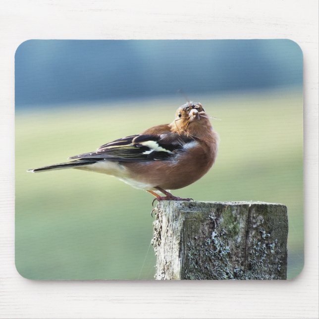CHAFFINCH MOUSE PAD (Front)