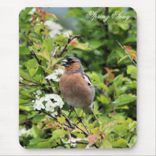 CHAFFINCH MOUSE PAD