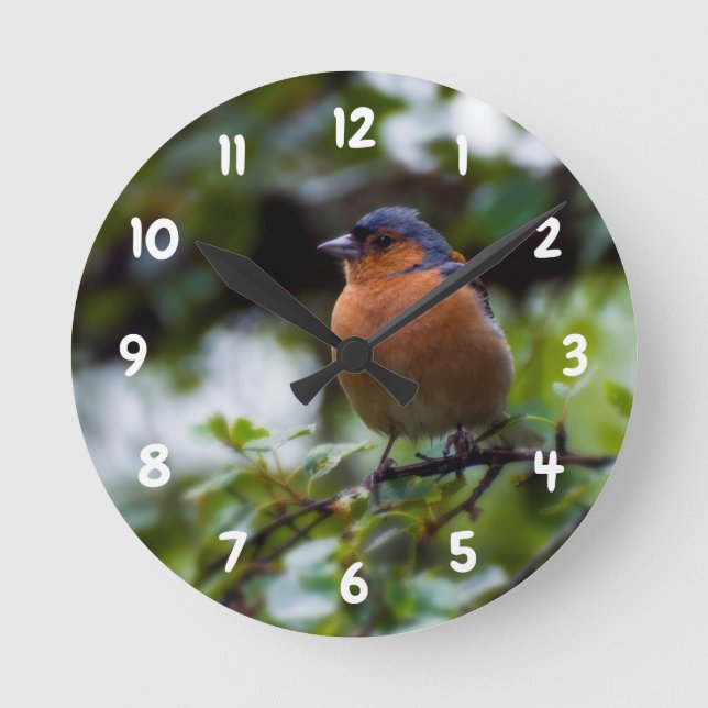 Chaffinch on a branch Acrylic wall clock (Front)