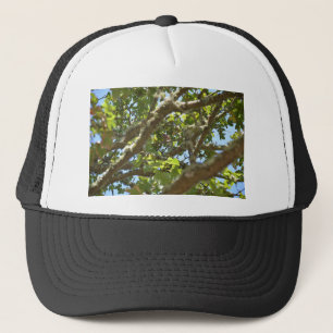 Chaffinch Trucker Hat