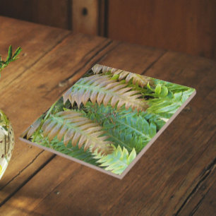 Chain Fern Fronds Floral Tile