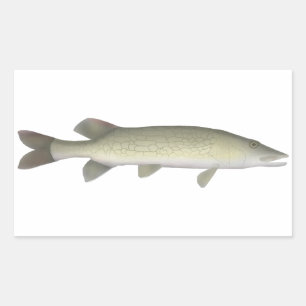 Chain Pickerel Rectangular Sticker