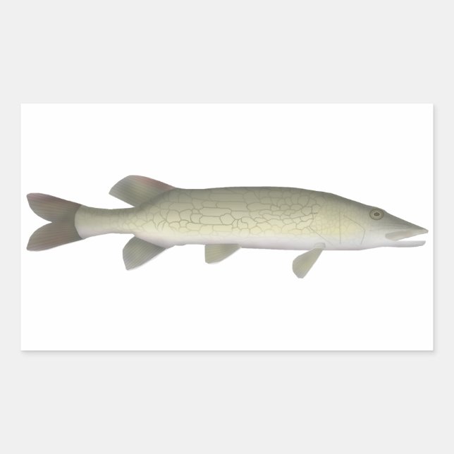 Chain Pickerel Rectangular Sticker (Front)