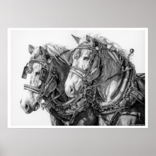Chained to the World Draught Horses Drawing Poster