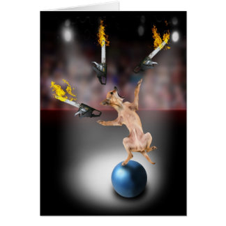 Chainsaw Juggling Chihuahua