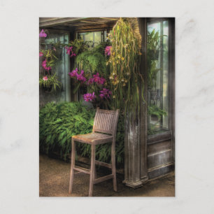 Chair - The Chair Postcard