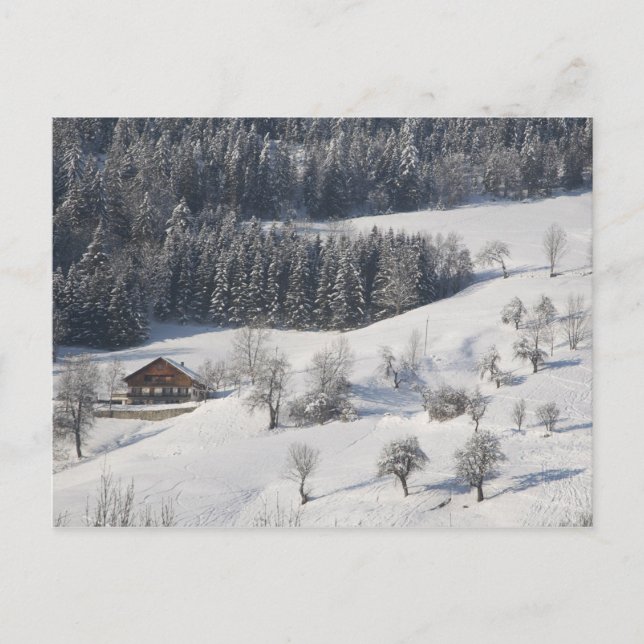 Chalet - French Alps Postcard (Front)