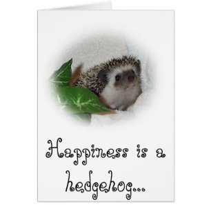 Chalice the Hedgehog