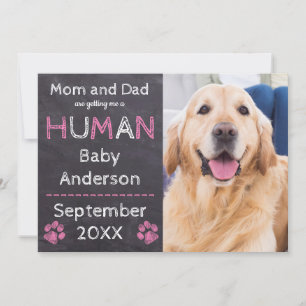 Chalkboard Baby Pink Dog Pregnancy Announcement