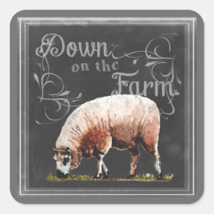 Chalkboard Farm   Down on the Farm Sheep Square Sticker
