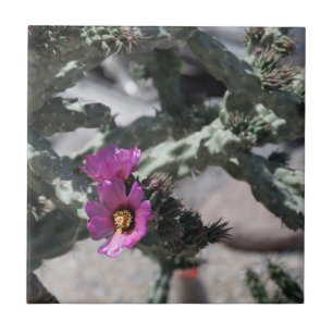 Challa Cactus in bloom Ceramic Tile