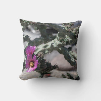 Challa Cactus in bloom  Cushion