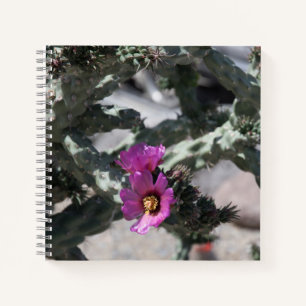 Challa Cactus in bloom Notebook
