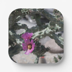 Challa Cactus in bloom  Paper Plate