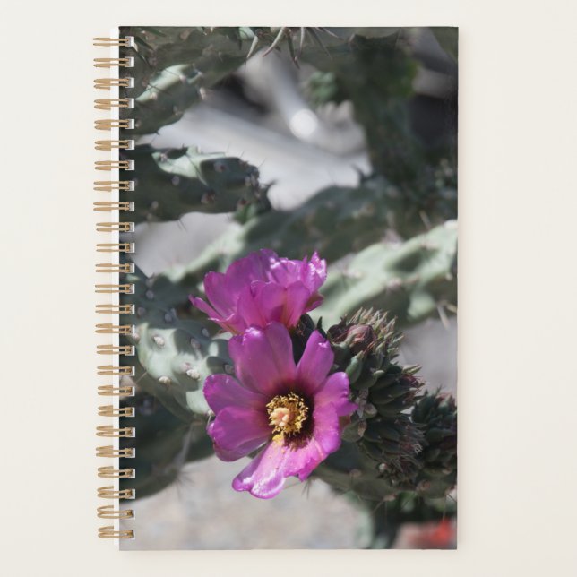 Challa Cactus in bloom  Planner (Front)