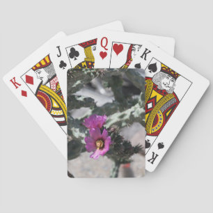 Challa Cactus in bloom  Playing Cards
