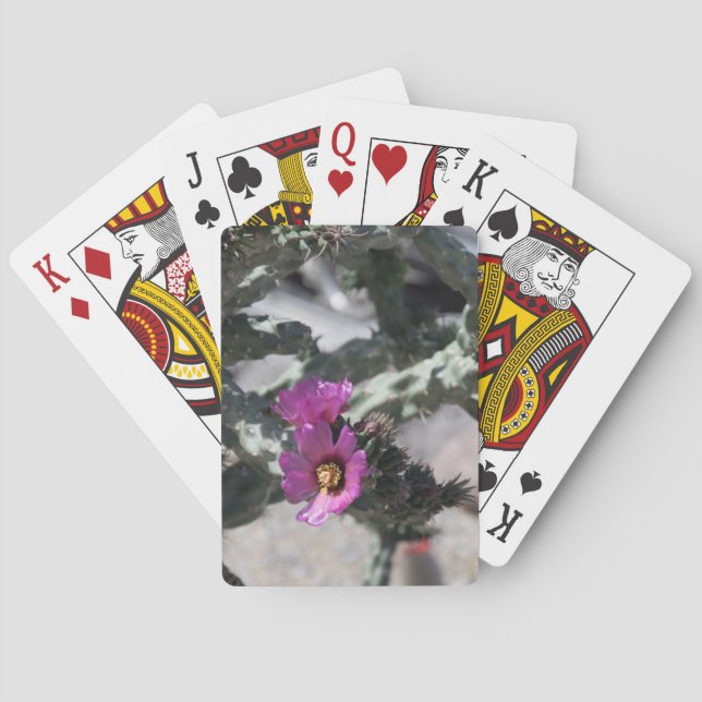 Challa Cactus in bloom  Playing Cards (Back)