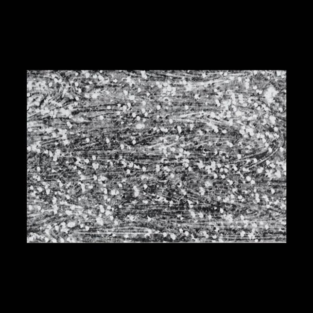 Challenging Black and White Jigsaw Puzzle (Creator Uploaded)