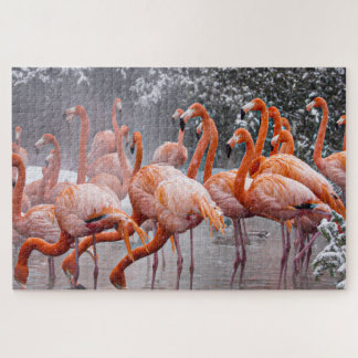 Challenging Flamingos Photo Jigsaw Puzzle