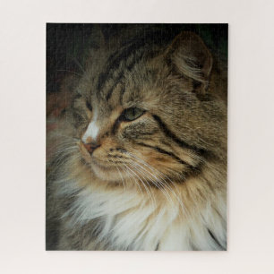 Challenging Norwegian Forest Cat Jigsaw Puzzle