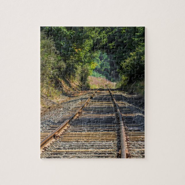 Challenging Railroad Tracks Puzzle (Vertical)