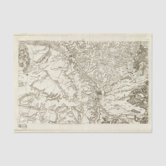 Chalonsen Champagne Tissue Paper (Front)