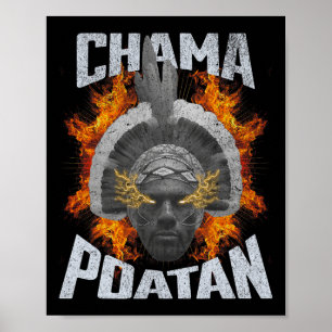 Chama Paotan Mma Fan Jjb Boxing Muay Thai  Poster
