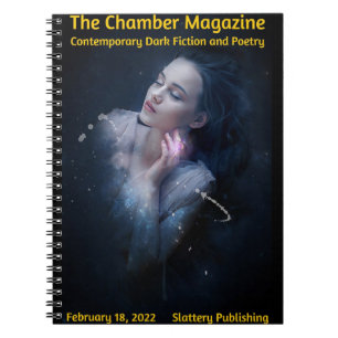 Chamber Cover of Feb 18 Notebook