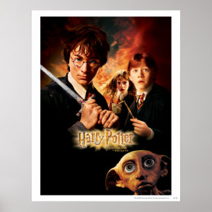 Chamber of Secrets - French Poster