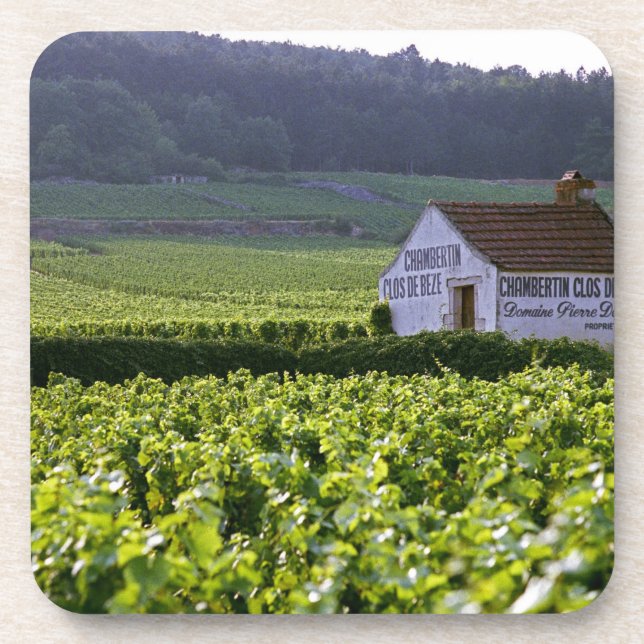 Chambertin Clos de Beze Grand Cru vineyard with Coaster (Front)