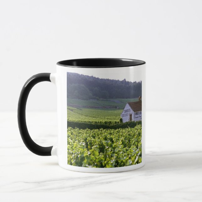 Chambertin Clos de Beze Grand Cru vineyard with Mug (Left)
