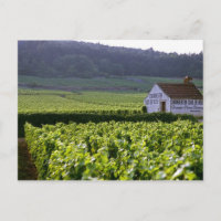 Chambertin Clos de Beze Grand Cru vineyard with
